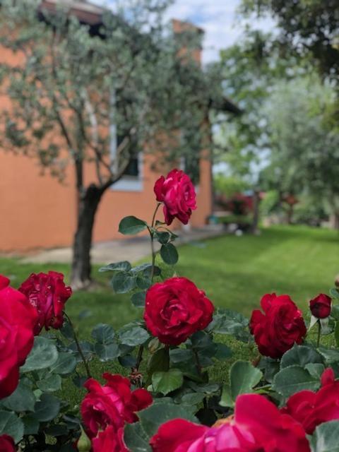 斯佩洛Il Giardino Delle Rose公寓 外观 照片