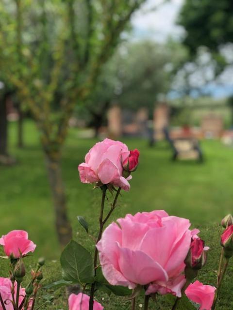斯佩洛Il Giardino Delle Rose公寓 外观 照片